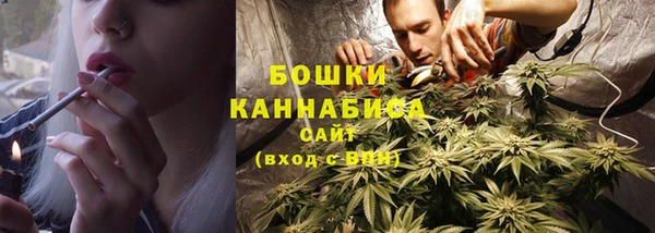 дурь Новодвинск