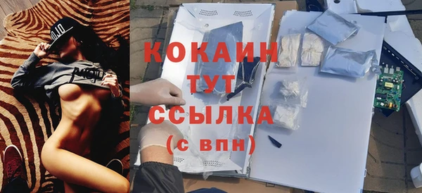 дурь Новодвинск