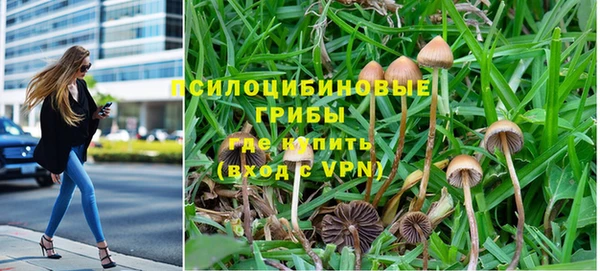 экстази Няндома