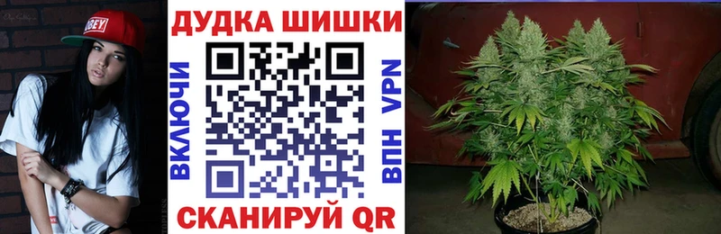 Бошки марихуана SATIVA & INDICA  купить наркотики цена  маркетплейс как зайти  Невьянск 